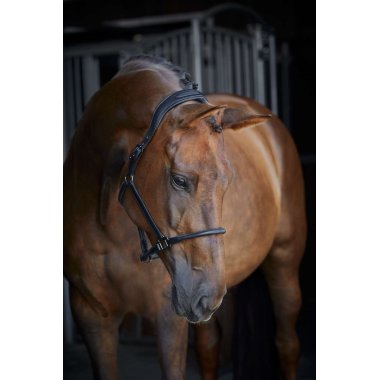 Grimer/træktove/køreline/longe og tilbehør