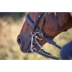 HS DS Special kandar 135/16mm