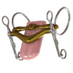NeueSchule Turtle Tilt